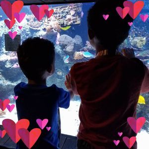 Meet your Posher, Christy